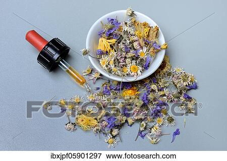 Pipette (Tinktur) with and dried flowers, Germany, Europe View Large Photo Image Stock Photo - Pipette (Tinktur) with and dried flowers, Germany, Europe. Fotosearch