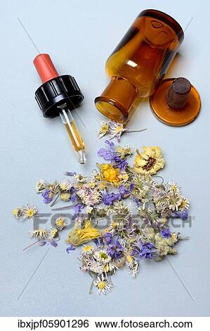 Pipette (Tinktur) with and dried flowers, Germany, Europe View Large Photo Image Stock Photograph - Pipette (Tinktur) with and dried flowers, Germany, Europe. Fotosearch