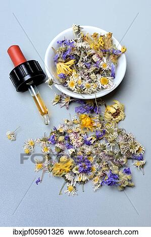 Pipette (Tinktur) with and dried flowers, Germany, Europe View Large Photo Image Stock Photograph - Pipette (Tinktur) with and dried flowers, Germany, Europe. Fotosearch