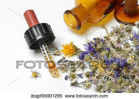 Stock Photography - Pipette (Tinktur) with and dried flowers, Germany, Europe. Fotosearch