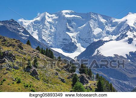 Piz Palü above the Bernina Valley, Pontresina, Bernina Alps, Upper Engadine, Engadine, Grisons, Switzerland, Europe View Large Photo Image Stock Photo - Piz Palü above the Bernina Valley, Pontresina, Bernina Alps, Upper Engadine, Engadine, Grisons, Switzerland, Europe. Fotosearch