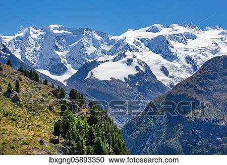 Piz Palü and Bellavista above the Bernina Valley, Pontresina, Bernina Alps, Upper Engadine, Engadine, Grisons, Switzerland, Europe View Large Photo Image Stock Image - Piz Palü and Bellavista above the Bernina Valley, Pontresina, Bernina Alps, Upper Engadine, Engadine, Grisons, Switzerland, Europe. Fotosearch