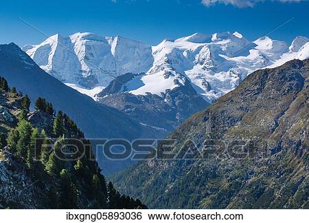 Piz Palü and Bellavista above the Bernina Valley, Pontresina, Bernina Alps, Upper Engadine, Engadine, Grisons, Switzerland, Europe View Large Photo Image Stock Photograph - Piz Palü and Bellavista above the Bernina Valley, Pontresina, Bernina Alps, Upper Engadine, Engadine, Grisons, Switzerland, Europe. Fotosearch