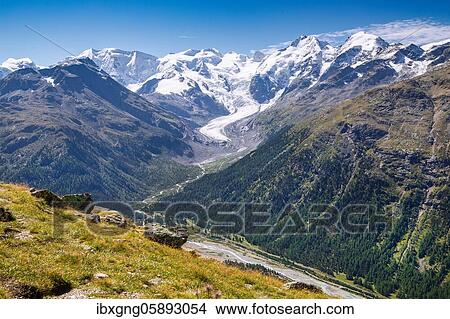Piz Palü, Bellavista, Piz Bernina and Morteratsch Glacier above the Morteratsch Valley, Pontresina, Bernina Alps, Upper Engadine, Engadine, Grisons, Switzerland, Europe View Large Photo Image Picture - Piz Palü, Bellavista, Piz Bernina and Morteratsch Glacier above the Morteratsch Valley, Pontresina, Bernina Alps, Upper Engadine, Engadine, Grisons, Switzerland, Europe. Fotosearch