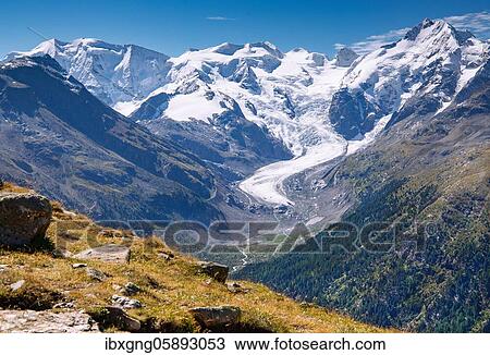 Piz Palü, Bellavista, Piz Bernina and Morteratsch Glacier above the Morteratsch Valley, Pontresina, Bernina Alps, Upper Engadine, Engadine, Grisons, Switzerland, Europe View Large Photo Image Stock Image - Piz Palü, Bellavista, Piz Bernina and Morteratsch Glacier above the Morteratsch Valley, Pontresina, Bernina Alps, Upper Engadine, Engadine, Grisons, Switzerland, Europe. Fotosearch