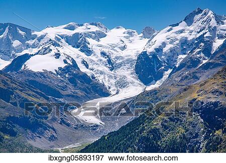 Piz Palü, Bellavista, Piz Bernina and Morteratsch Glacier above the Morteratsch Valley, Pontresina, Bernina Alps, Upper Engadine, Engadine, Grisons, Switzerland, Europe View Large Photo Image Stock Photo - Piz Palü, Bellavista, Piz Bernina and Morteratsch Glacier above the Morteratsch Valley, Pontresina, Bernina Alps, Upper Engadine, Engadine, Grisons, Switzerland, Europe. Fotosearch
