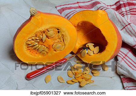 Pumpkin, pumpkin halves and pumpkin seeds with spoon, Germany, Europe View Large Photo Image Stock Photo - Pumpkin, pumpkin halves and pumpkin seeds with spoon, Germany, Europe. Fotosearch