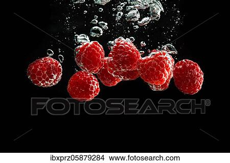 Picture - Raspberries fall into water, black background, studio shot, Austria, Europe. Fotosearch