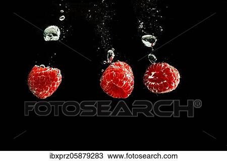 Raspberries fall into water, black background, studio shot, Austria, Europe View Large Photo Image Stock Image - Raspberries fall into water, black background, studio shot, Austria, Europe. Fotosearch