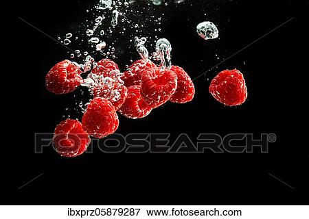 Stock Photo - Raspberries fall into water, black background, studio shot, Austria, Europe. Fotosearch