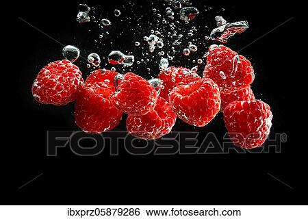 Stock Photograph - Raspberries fall into water, black background, studio shot, Austria, Europe. Fotosearch