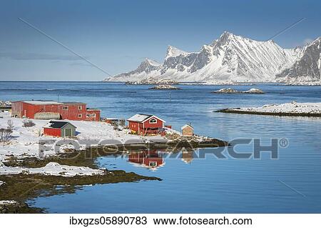 Red farmhouse reflected in the fjord Rossoy Straumen, in the back far ocean, snowy mountains Hustinden and Björntinden, Nordland, Lofoten, Norway, Europe View Large Photo Image Stock Image - Red farmhouse reflected in the fjord Rossoy Straumen, in the back far ocean, snowy mountains Hustinden and Björntinden, Nordland, Lofoten, Norway, Europe. Fotosearch