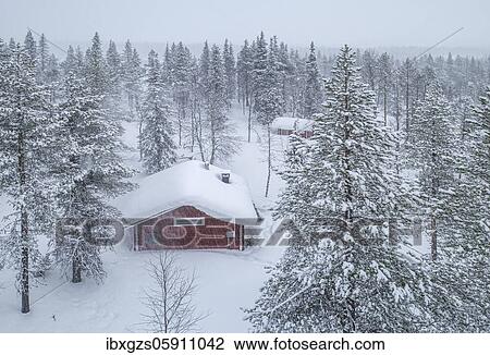 Stock Image - Red wooden house in the forest with snowfall in winter, Muonio, Lapland, Finland, Europe. Fotosearch