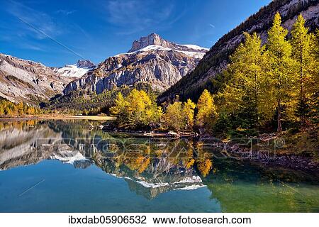 Reflection of the mountains and autumnal larches in Lac de Derborence, Canton Valais, Switzerland, Europe View Large Photo Image Stock Image - Reflection of the mountains and autumnal larches in Lac de Derborence, Canton Valais, Switzerland, Europe. Fotosearch