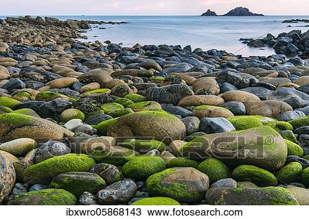 Rocky coast with round stones at Cape Cornwall, St Just, Penwith, Cornwall, England, Great Britain View Large Photo Image Stock Image - Rocky coast with round stones at Cape Cornwall, St Just, Penwith, Cornwall, England, Great Britain. Fotosearch