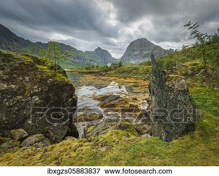 Stock Photo - Rocky fjord bay overgrown with moss, behind wooden house and high mountain tops, Fredvang, Lofoten, Nordland, Norway, Europe. Fotosearch
