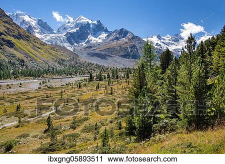 Roseg Valley, Val Roseg with Piz Roseg, Pontresina, Bernina Alps, Upper Engadine, Engadine, Grisons, Switzerland, Europe View Large Photo Image Stock Image - Roseg Valley, Val Roseg with Piz Roseg, Pontresina, Bernina Alps, Upper Engadine, Engadine, Grisons, Switzerland, Europe. Fotosearch