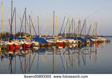 Sailboats at the Dümmer, lake, harbour, reflection, Lembruch, Lower Saxony, Germany, Europe View Large Photo Image Stock Photography - Sailboats at the Dümmer, lake, harbour, reflection, Lembruch, Lower Saxony, Germany, Europe. Fotosearch
