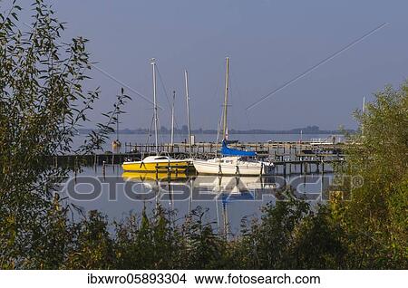 Sailing boats at the Dümmer, lake, harbour, Lembruch, Lower Saxony, Germany, Europe View Large Photo Image Picture - Sailing boats at the Dümmer, lake, harbour, Lembruch, Lower Saxony, Germany, Europe. Fotosearch