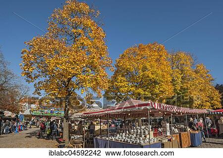 Stock Image - Sales booths and autumnal Maples (Acer), Auer Dult, Munich, Upper Bavaria, Bavaria, Germany, Europe. Fotosearch