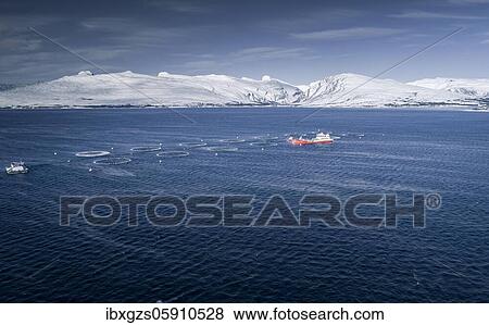 Stock Photo - Salmon farm with supply boat in a fjord, snowy mountain range in the back, Rana, Nordland, Norway, Europe. Fotosearch