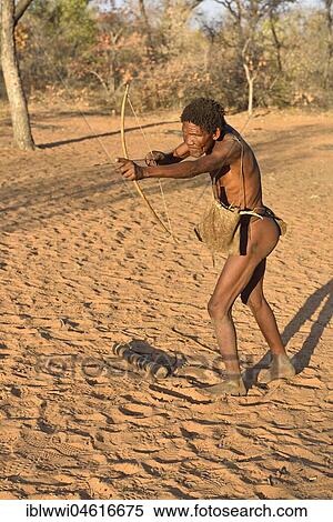 San man with bow and arrow, Bushman tribe, Kalahari, Namibia, Africa View Large Photo Image Stock Photography - San man with bow and arrow, Bushman tribe, Kalahari, Namibia, Africa. Fotosearch