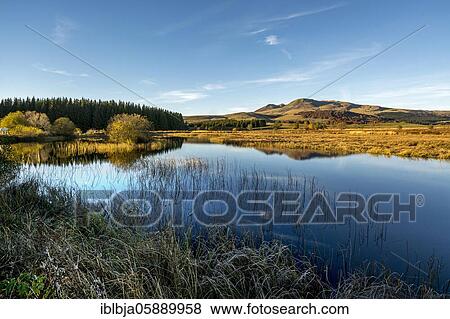 Sancy massif at back in autumn, Sancy massif, Auvergne Volcanoes Natural Park, Puy de Dome department, Auvergne-Rhone-Alpes, France, Europe View Large Photo Image Stock Photo - Sancy massif at back in autumn, Sancy massif, Auvergne Volcanoes Natural Park, Puy de Dome department, Auvergne-Rhone-Alpes, France, Europe. Fotosearch