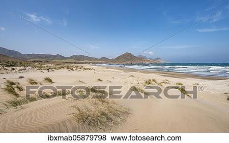 Sand dunes on the beach, Playa de Los Genoveses, Cabo de Gata-Nijar National Park, Almería, Spain, Europe View Large Photo Image Stock Photo - Sand dunes on the beach, Playa de Los Genoveses, Cabo de Gata-Nijar National Park, Almería, Spain, Europe. Fotosearch