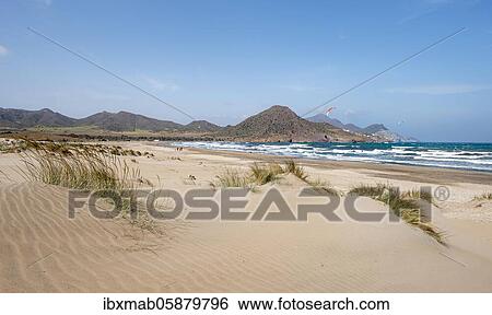 Stock Photograph - Sand dunes on the beach, Playa de Los Genoveses, Cabo de Gata-Nijar National Park, Almería, Spain, Europe. Fotosearch
