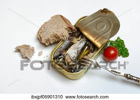 Sardines in opened tin with fork, Oil sardines, Germany, Europe View Large Photo Image Stock Image - Sardines in opened tin with fork, Oil sardines, Germany, Europe. Fotosearch