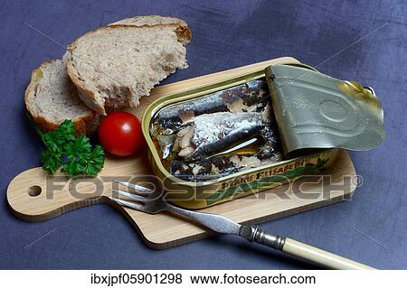 Sardines in opened tin with fork, Oil sardines, Germany, Europe View Large Photo Image Stock Photo - Sardines in opened tin with fork, Oil sardines, Germany, Europe. Fotosearch