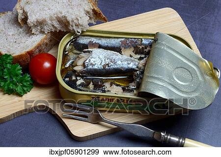 Sardines in opened tin with fork, Oil sardines, Germany, Europe View Large Photo Image Stock Photo - Sardines in opened tin with fork, Oil sardines, Germany, Europe. Fotosearch