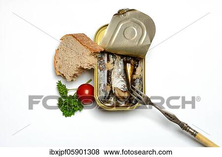 Sardines in opened tin with fork, Oil sardines, Germany, Europe View Large Photo Image Stock Photo - Sardines in opened tin with fork, Oil sardines, Germany, Europe. Fotosearch