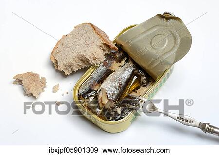 Sardines in opened tin with fork, Oil sardines, Germany, Europe View Large Photo Image Stock Photo - Sardines in opened tin with fork, Oil sardines, Germany, Europe. Fotosearch