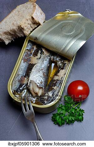Sardines in opened tin with fork, Oil sardines, Germany, Europe View Large Photo Image Stock Photograph - Sardines in opened tin with fork, Oil sardines, Germany, Europe. Fotosearch