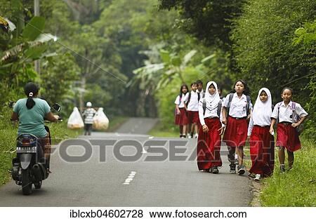 Schoolgirls, girls in school uniform on the street, Losari Village, Magelang, Java, Indonesia, Asia View Large Photo Image Stock Photo - Schoolgirls, girls in school uniform on the street, Losari Village, Magelang, Java, Indonesia, Asia. Fotosearch