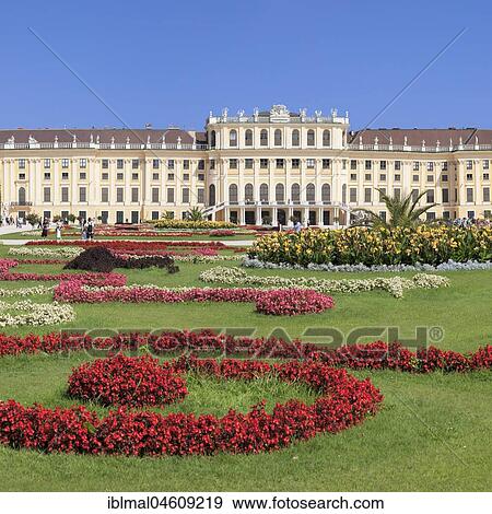 Stock Photo - Schönbrunn Palace with flower bed, Vienna, Austria, Europe. Fotosearch