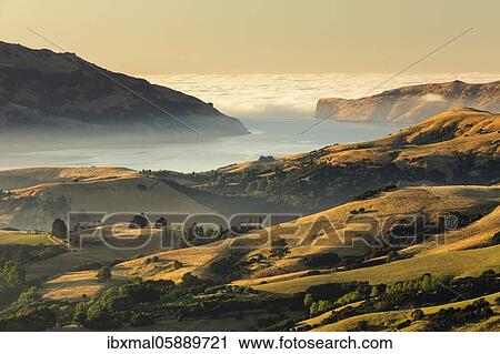 Sea fog at sunrise, Oceania, Banks Peninsula, Canterbury, South Island, New Zealand, Oceania View Large Photo Image Stock Image - Sea fog at sunrise, Oceania, Banks Peninsula, Canterbury, South Island, New Zealand, Oceania. Fotosearch