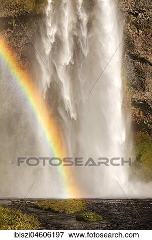 Seljalandsfoss waterfall with rainbow, Seljalandsa river, South Island, Island View Large Photo Image Stock Photo - Seljalandsfoss waterfall with rainbow, Seljalandsa river, South Island, Island. Fotosearch