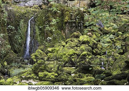 Small waterfall on moss-covered stones, Franche-Comte, French Jura, France, Europe View Large Photo Image Stock Photograph - Small waterfall on moss-covered stones, Franche-Comte, French Jura, France, Europe. Fotosearch