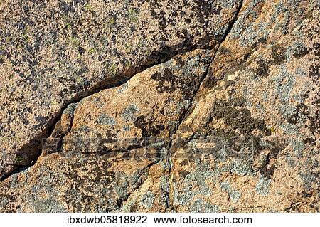 Stock Image - Smooth granite, with lichens, archipelago landscape, rocky coast, archipelago coast, smögen, archipelago, Bohuslän province, Västra Götalands län province, southern Sweden, Sweden, Europe. Fotosearch