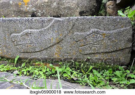 Snake representation on a step in the ruins of Chavín de Huántar, Unesco World Heritage Site, near Huaraz, Ancash Region, Peru, South America View Large Photo Image Stock Photo - Snake representation on a step in the ruins of Chavín de Huántar, Unesco World Heritage Site, near Huaraz, Ancash Region, Peru, South America. Fotosearch