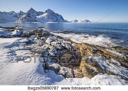 Snow-covered rocky beach with tidal pools, coast with blue sea, behind winter mountains, Nordland, Lofoten, Norway, Europe View Large Photo Image Stock Photo - Snow-covered rocky beach with tidal pools, coast with blue sea, behind winter mountains, Nordland, Lofoten, Norway, Europe. Fotosearch