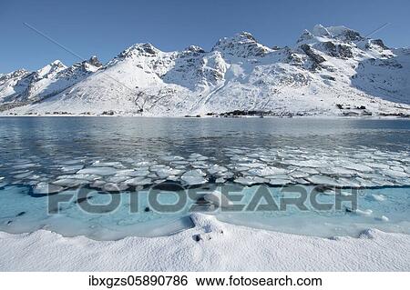 Snowy mountains, turquoise sea water in the fjord with ice floes under blue sky, Nordland, Lofoten, Norway, Europe View Large Photo Image Stock Photograph - Snowy mountains, turquoise sea water in the fjord with ice floes under blue sky, Nordland, Lofoten, Norway, Europe. Fotosearch