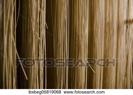 Stock Photo - Spaghetti, noodle production. Fotosearch