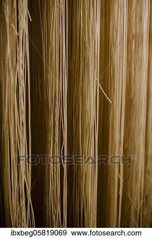 Stock Photo - Spaghetti, noodle production. Fotosearch