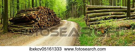 Stack of wood at the forest road in spring, Eichsfeld, Thuringia, Germany, Europe View Large Photo Image Stock Image - Stack of wood at the forest road in spring, Eichsfeld, Thuringia, Germany, Europe. Fotosearch