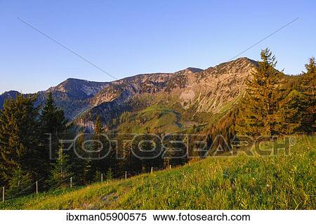 Stock Photography - Stellnerjoch and Kleiner Traithen in the morning light, Sudelfeld, near Bayrischzell, Mangfall mountains, Upper Bavaria, Bavaria, Germany, Europe. Fotosearch