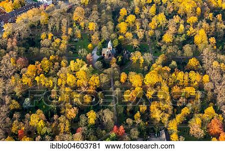 Sternbuschweg cemetery, cemetery in autumn, autumn foliage, Duisburg, Ruhr Area, North Rhine-Westphalia, Germany, Europe View Large Photo Image Stock Image - Sternbuschweg cemetery, cemetery in autumn, autumn foliage, Duisburg, Ruhr Area, North Rhine-Westphalia, Germany, Europe. Fotosearch