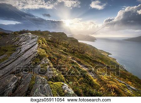 Picture - Sun breaks through dramatic clouds on the fjord with rocks and coloured moss in autumn, Nesna, Nordland, Norway, Europe. Fotosearch